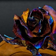 Титановая кованая роза
